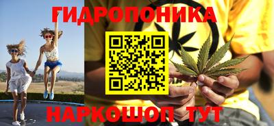 PSILOCYBIN Заволжье