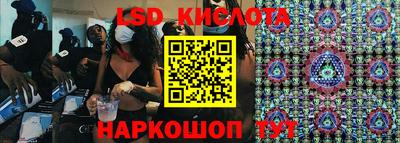 стаф Заводоуковск