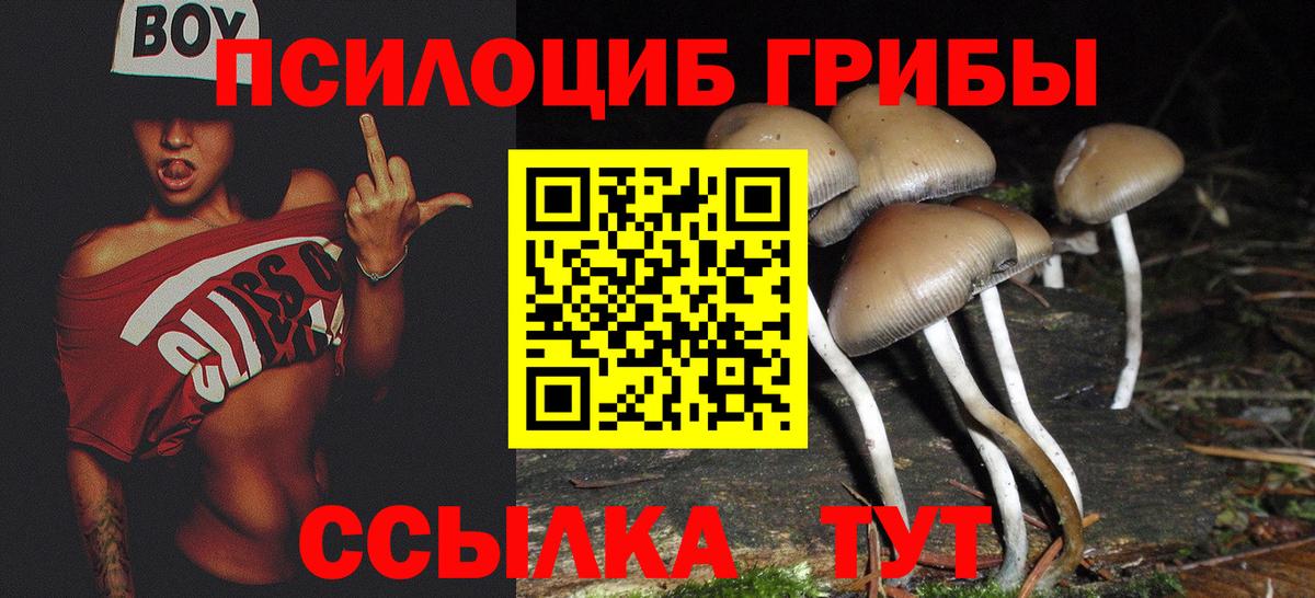 Псилоцибиновые грибы Cubensis Лангепас